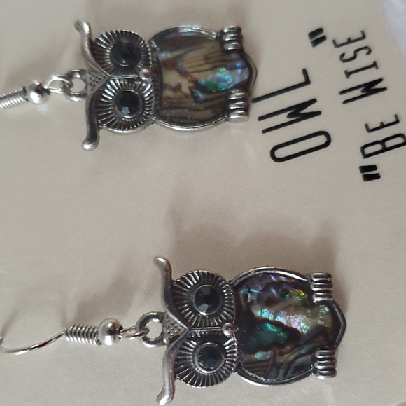 Owl "Be Wise" Silver earrings - Picture 1 of 5